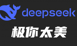 DeepSeek“极你太美”bug，官方回应了